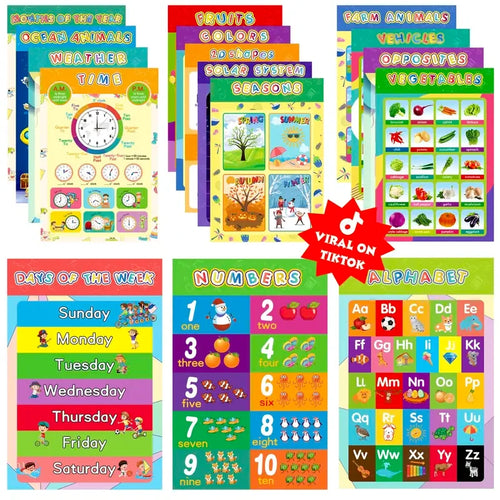 Educational Laminated Poster Set