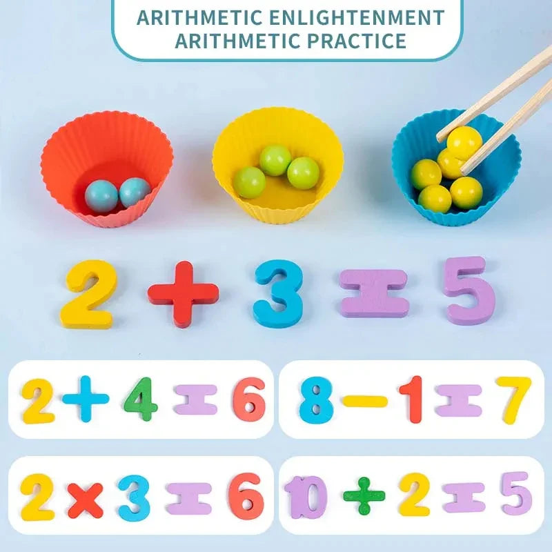 Montessori Wooden Sorting Toy