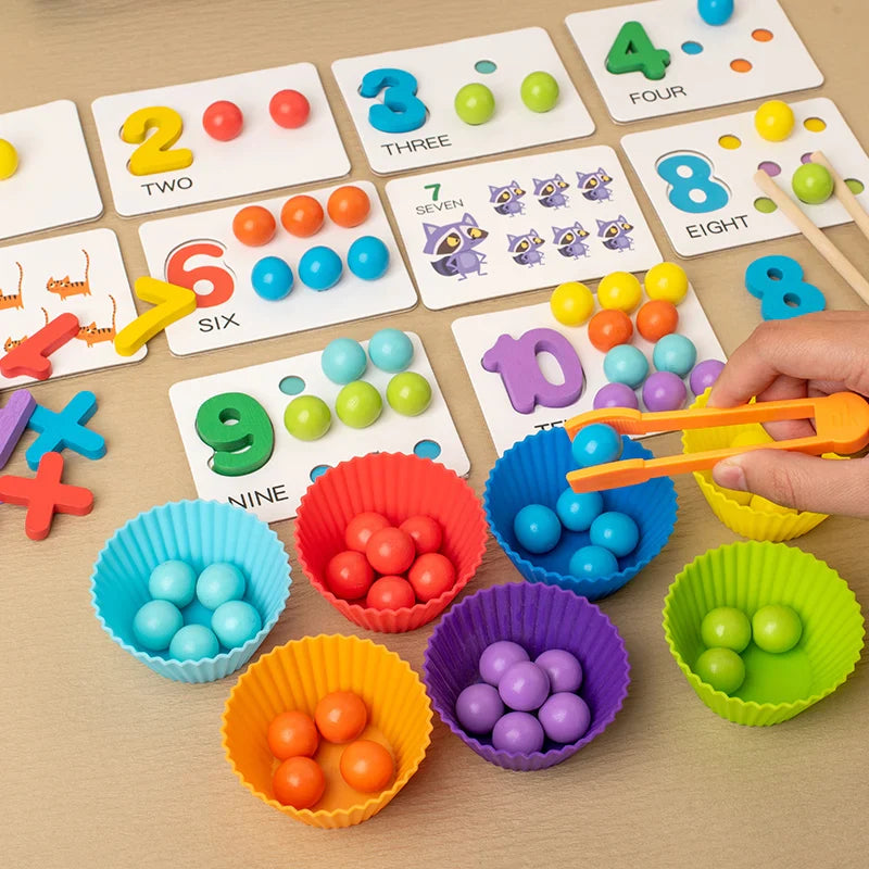 Montessori Wooden Sorting Toy
