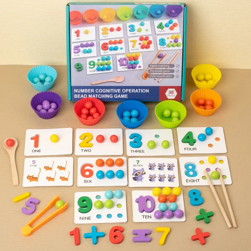Montessori Wooden Sorting Toy