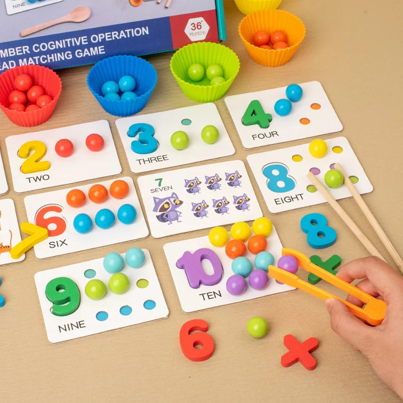 Montessori Wooden Sorting Toy